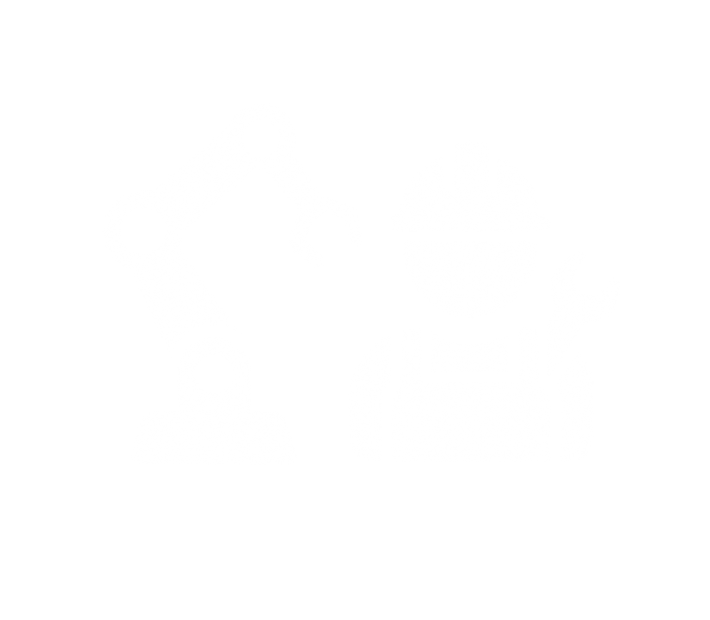MAINTENANCE